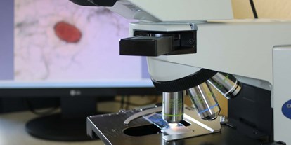 Lieferservice - Art des Unternehmens: Sonstige Dienstleistungen - Sachsen - Das Mikroskop im Einsatz - Labor für Mikrobiologie und Hygiene