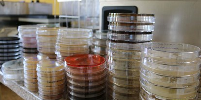 Lieferservice - Gutscheinkauf möglich - Nährmedien für Bakterien und Pilze - Labor für Mikrobiologie und Hygiene
