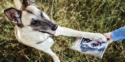 Lieferservice - überwiegend selbstgemachte Produkte - Buch "Marker-Training für Hunde: Auf Augenhöhe zum glücklichen und kooperativen Hund" von Ulrike Seumel. Erschienen im April 2020 im Kosmos Verlag. - Dog It Right