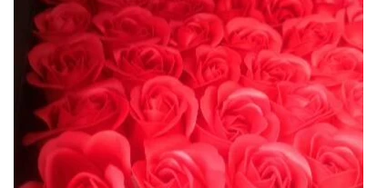 Lieferservice - Art des Unternehmens: Körperpflege & Kosmetik - 56 Seifen Rosen für ein Luxus- Bad - Secret Wish Berlin Lieferservice