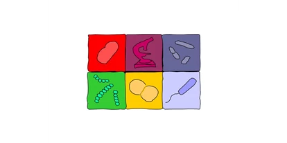Lieferservice - bevorzugter Kontakt: per Telefon - www.labor-hygiene.de
Sie finden uns in Hoyerswerda, im Einsatz sind wir bundesweit! - Labor für Mikrobiologie und Hygiene