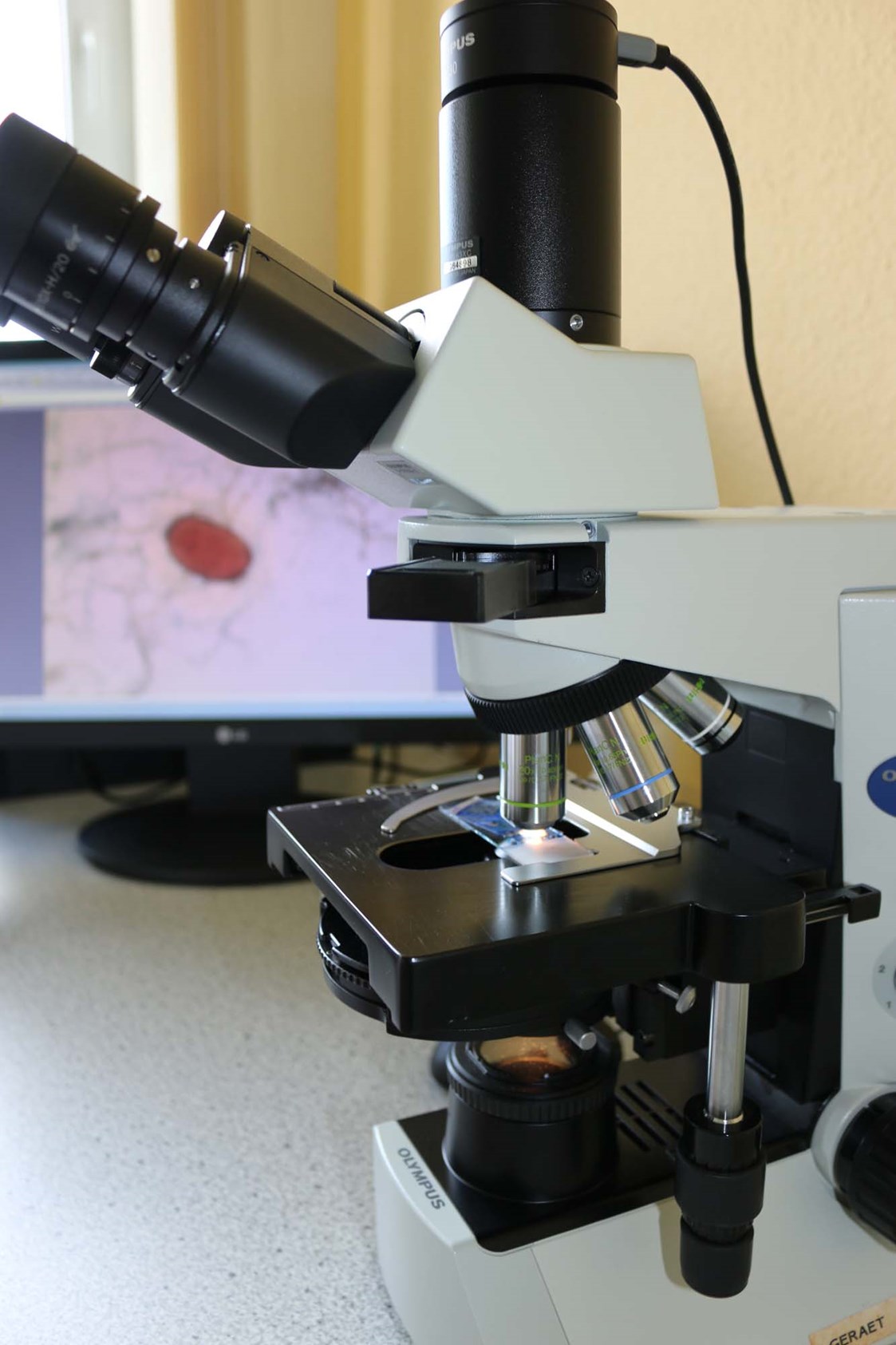 Geschäft: Das Mikroskop im Einsatz - Labor für Mikrobiologie und Hygiene