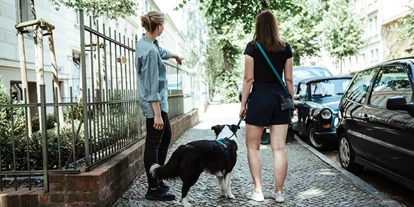 Lieferservice - Zahlungsmöglichkeiten: Sofortüberweisung - Dog It Right